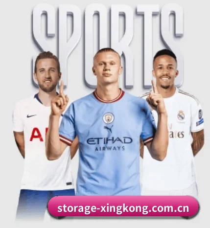 五大体育板块覆盖,从比分到直播全覆盖 | xingkongtiyu